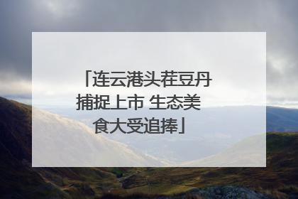连云港头茬豆丹捕捉上市 生态美食大受追捧