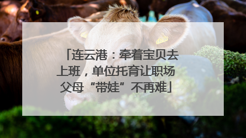 连云港：牵着宝贝去上班，单位托育让职场父母“带娃”不再难