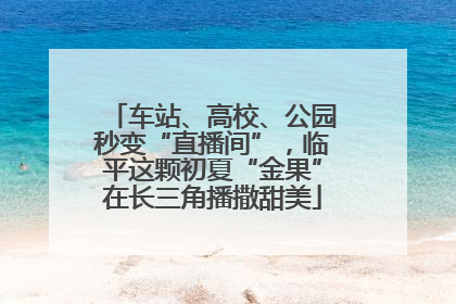 车站、高校、公园秒变“直播间”，临平这颗初夏“金果”在长三角播撒甜美