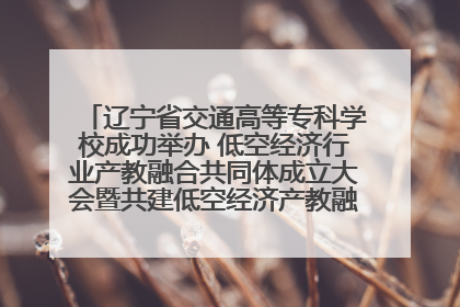 辽宁省交通高等专科学校成功举办 低空经济行业产教融合共同体成立大会暨共建低空经济产教融合新生态论坛