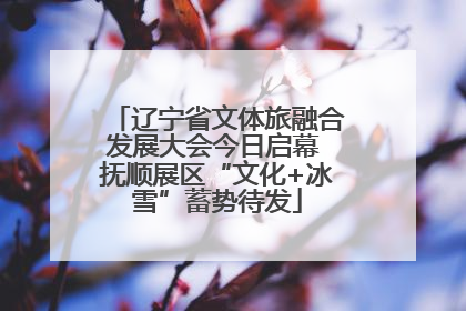 辽宁省文体旅融合发展大会今日启幕 抚顺展区“文化+冰雪”蓄势待发