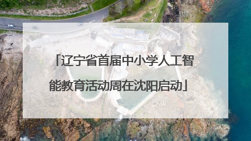 辽宁省首届中小学人工智能教育活动周在沈阳启动