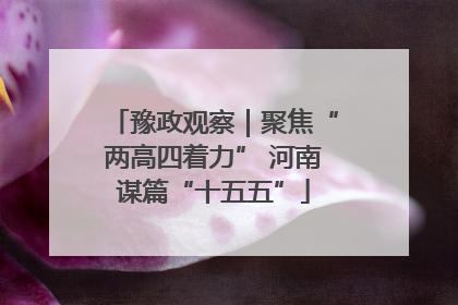 豫政观察｜聚焦“两高四着力” 河南谋篇“十五五”