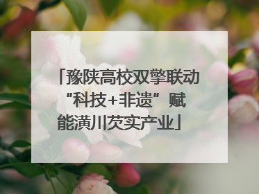 豫陕高校双擎联动 “科技+非遗”赋能潢川芡实产业