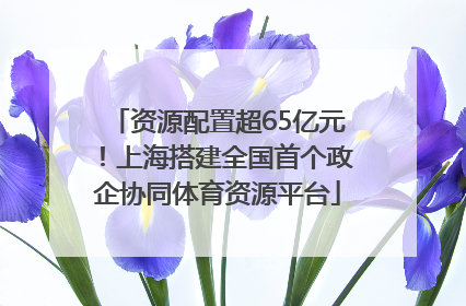 资源配置超65亿元！上海搭建全国首个政企协同体育资源平台