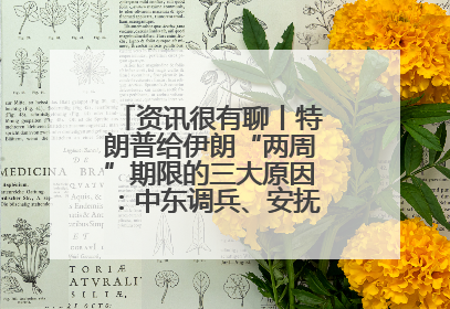 资讯很有聊丨特朗普给伊朗“两周”期限的三大原因：中东调兵、安抚国内、个人习惯