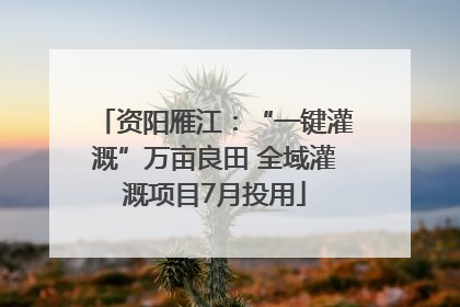 资阳雁江：“一键灌溉”万亩良田 全域灌溉项目7月投用
