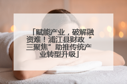 赋能产业，破解融资难！浦江县财政“三聚焦”助推传统产业转型升级