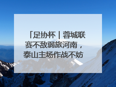 足协杯｜蓉城联赛不敌弱旅河南，泰山主场作战不妨“抄作业”