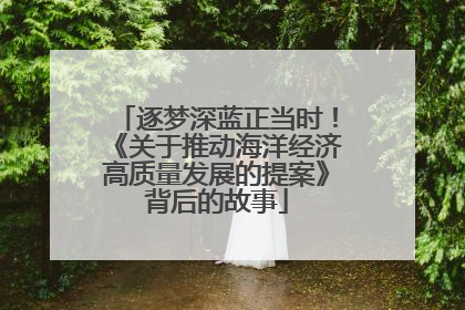 逐梦深蓝正当时！《关于推动海洋经济高质量发展的提案》背后的故事