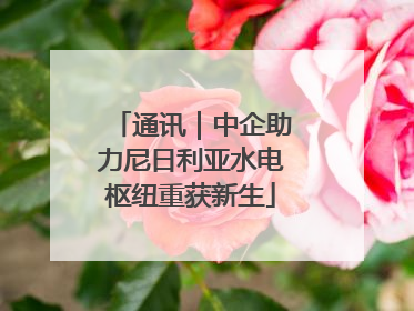 通讯｜中企助力尼日利亚水电枢纽重获新生