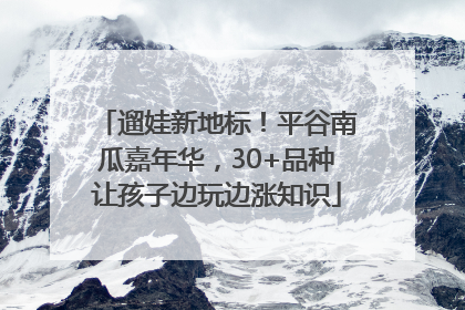 遛娃新地标！平谷南瓜嘉年华，30+品种让孩子边玩边涨知识
