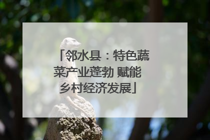 邻水县：特色蔬菜产业蓬勃 赋能乡村经济发展