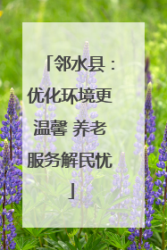 邻水县：优化环境更温馨 养老服务解民忧