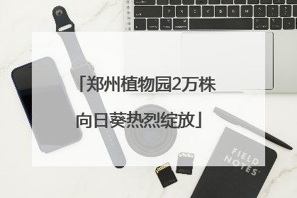 郑州植物园2万株向日葵热烈绽放