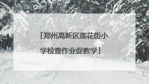 郑州高新区莲花街小学检查作业促教学