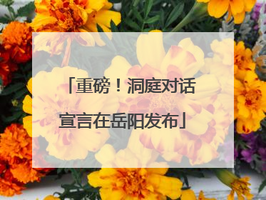 重磅！洞庭对话宣言在岳阳发布