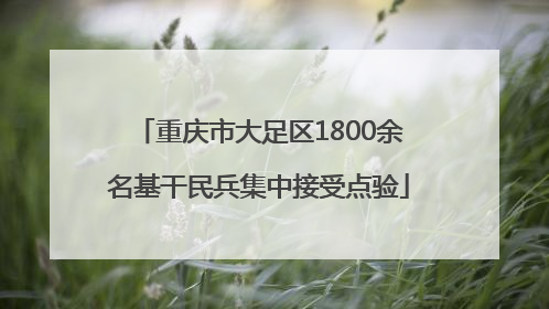 重庆市大足区1800余名基干民兵集中接受点验