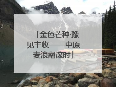 金色芒种·豫见丰收——中原麦浪翻滚时