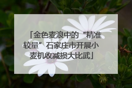 金色麦浪中的“精准较量”石家庄市开展小麦机收减损大比武