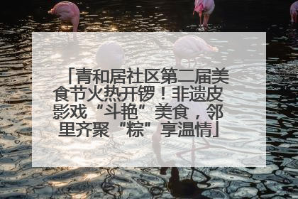 青和居社区第二届美食节火热开锣！非遗皮影戏“斗艳”美食，邻里齐聚“粽”享温情