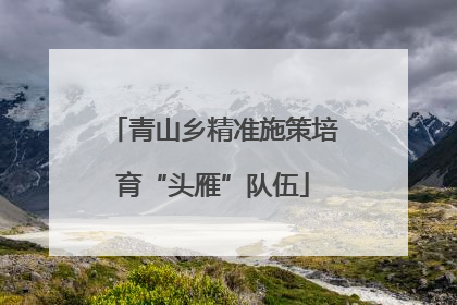 青山乡精准施策培育“头雁”队伍