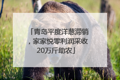 青岛平度洋葱滞销，家家悦零利润采收20万斤助农