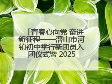 青春心向党 奋进新征程——潜山市河镇初中举行新团员入团仪式暨 2025年度团员大会