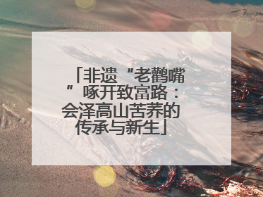 非遗“老鹳嘴”啄开致富路：会泽高山苦荞的传承与新生