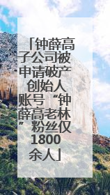 钟薛高子公司被申请破产 创始人账号“钟薛高老林”粉丝仅1800余人