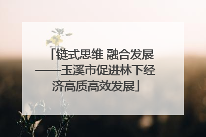 链式思维 融合发展——玉溪市促进林下经济高质高效发展