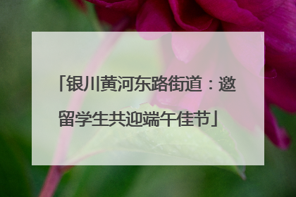 银川黄河东路街道：邀留学生共迎端午佳节