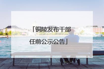 铜陵发布干部任前公示公告