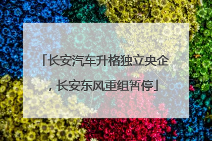 长安汽车升格独立央企，长安东风重组暂停