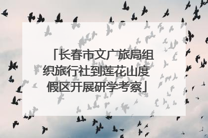 长春市文广旅局组织旅行社到莲花山度假区开展研学考察