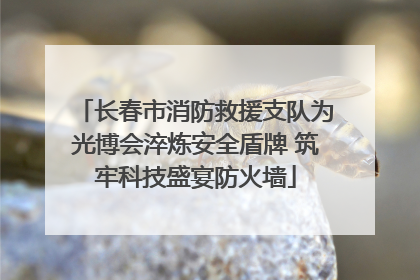长春市消防救援支队为光博会淬炼安全盾牌 筑牢科技盛宴防火墙