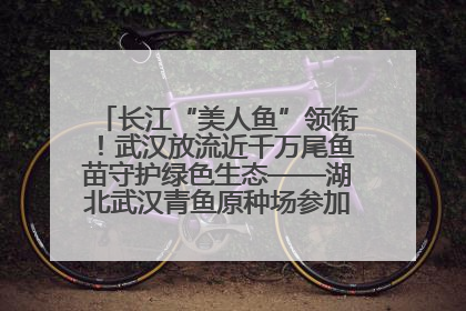 长江“美人鱼”领衔！武汉放流近千万尾鱼苗守护绿色生态——湖北武汉青鱼原种场参加2025年“全国放鱼日”增殖放流活动