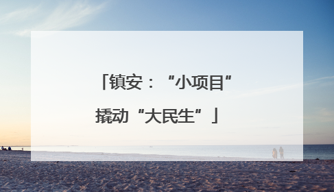 镇安：“小项目”撬动“大民生”