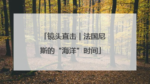 镜头直击｜法国尼斯的“海洋”时间