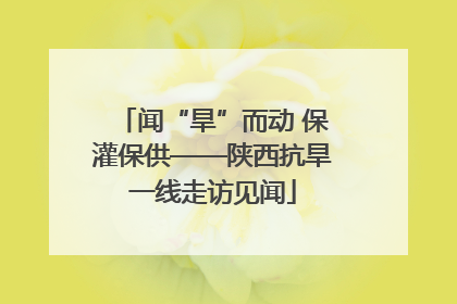 闻“旱”而动 保灌保供——陕西抗旱一线走访见闻