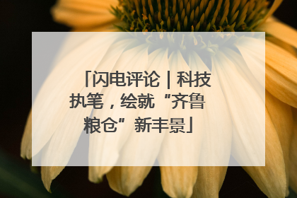 闪电评论｜科技执笔，绘就“齐鲁粮仓”新丰景