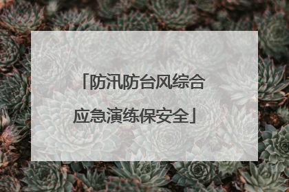 防汛防台风综合应急演练保安全
