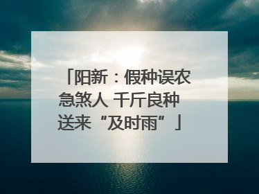 阳新：假种误农急煞人 千斤良种送来“及时雨”