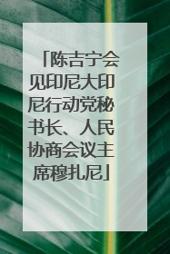 陈吉宁会见印尼大印尼行动党秘书长、人民协商会议主席穆扎尼