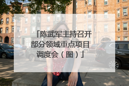 陈武军主持召开部分领域重点项目调度会（图）