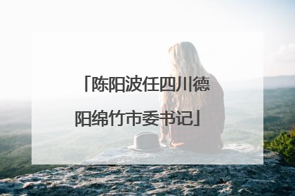 陈阳波任四川德阳绵竹市委书记