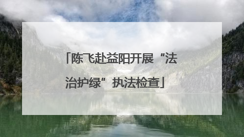 陈飞赴益阳开展“法治护绿”执法检查