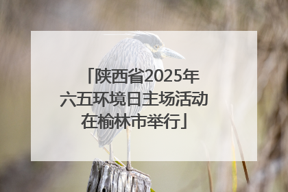 陕西省2025年六五环境日主场活动在榆林市举行