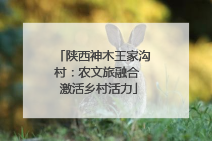 陕西神木王家沟村：农文旅融合 激活乡村活力
