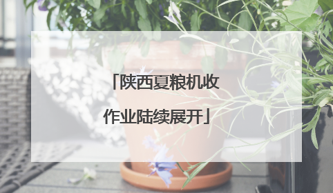 陕西夏粮机收作业陆续展开
